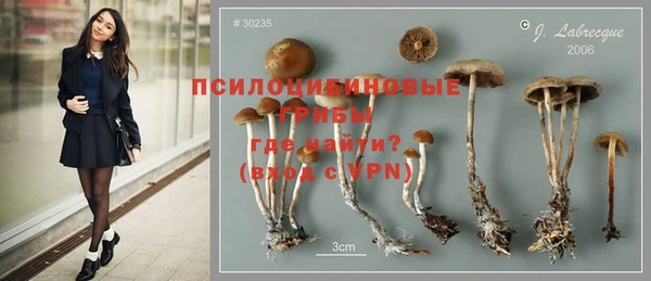 каннабис Белокуриха