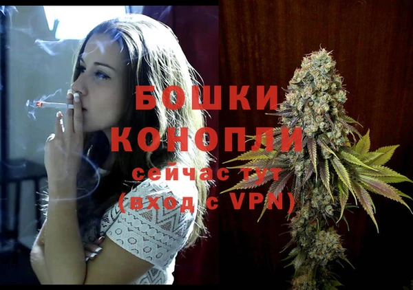 каннабис Белокуриха
