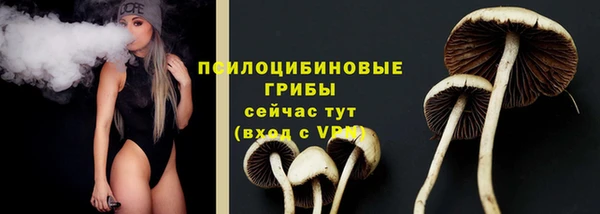 спиды Богородск